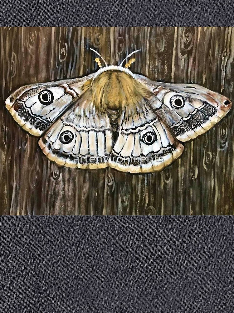 Emporer Moth / Moth on Wood / Wood Moth / Woodgrain / by artenvironments