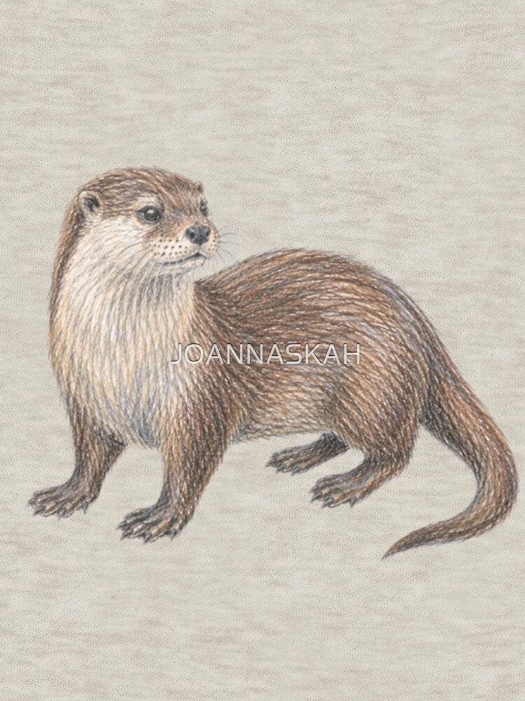 Otter drawing with crayons by JOANNASKAH