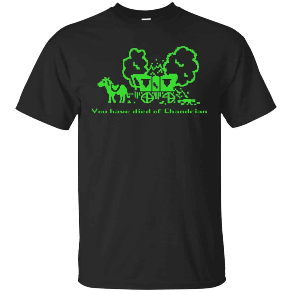You Have Died Of Chandrian s, , Tank Unisex