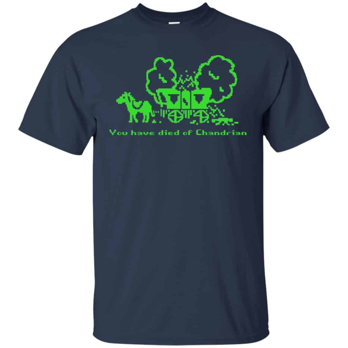 You Have Died Of Chandrian s, , Tank Unisex