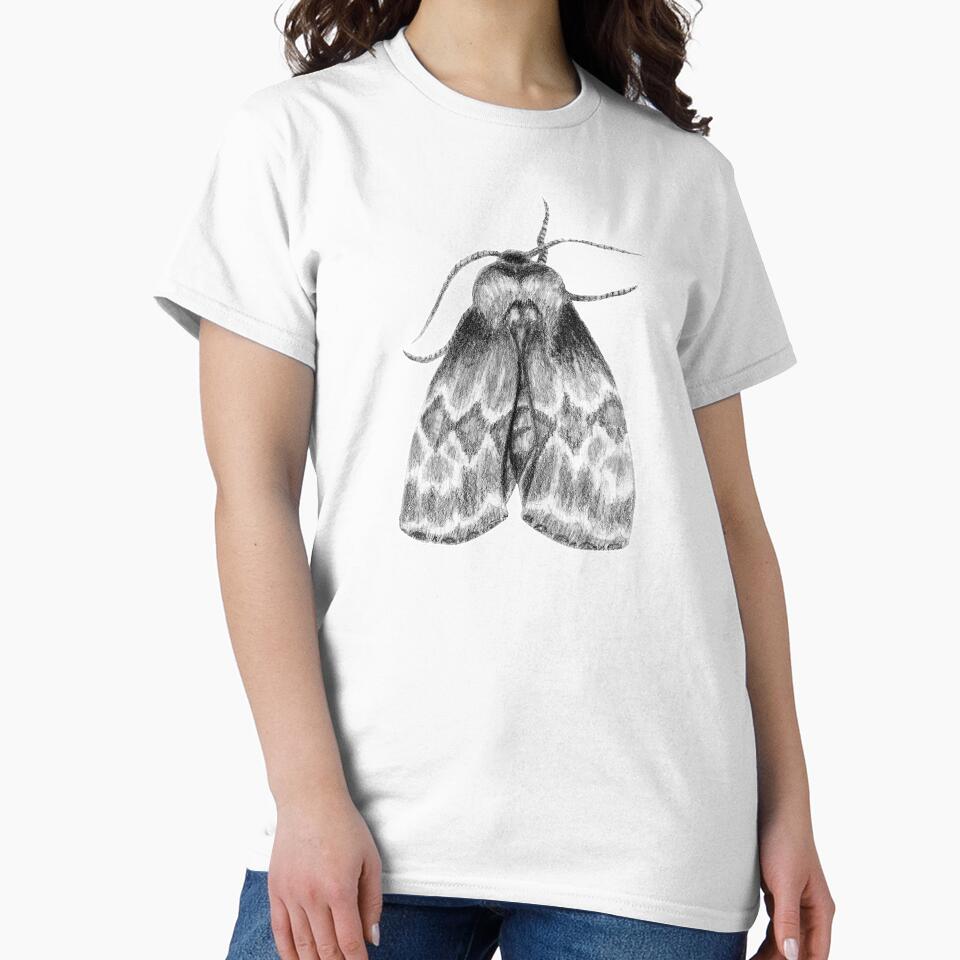 Moth Insect Pattern Pencil Drawing by Ivy Lily Art