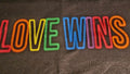 Modern Lux Black wit "LOVE WINS" Printed On Front, 100% Cotton size L Unisex