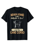 Cane Corso Italiano dog Unisex