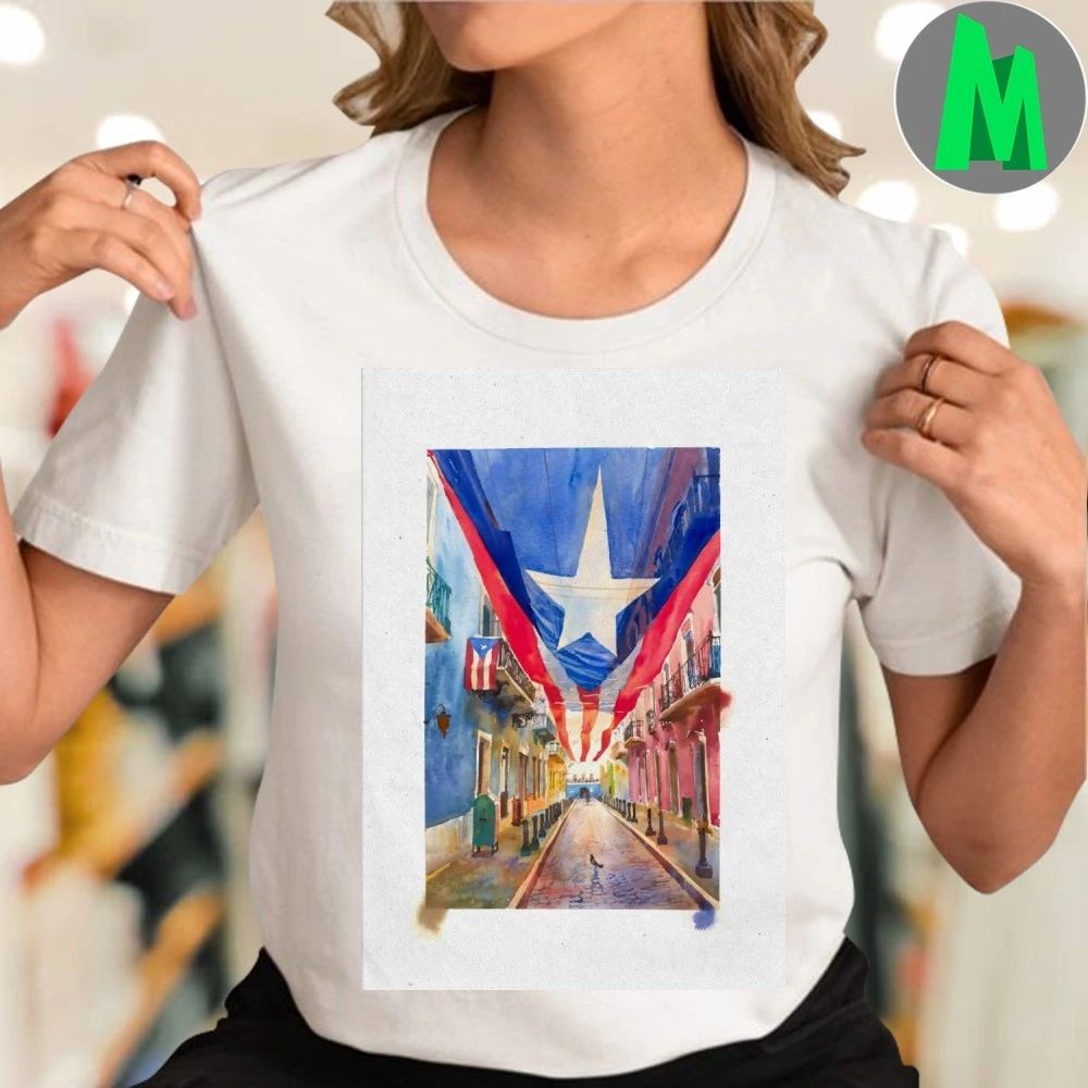 Original La Bandera Boricua Poster Unisex