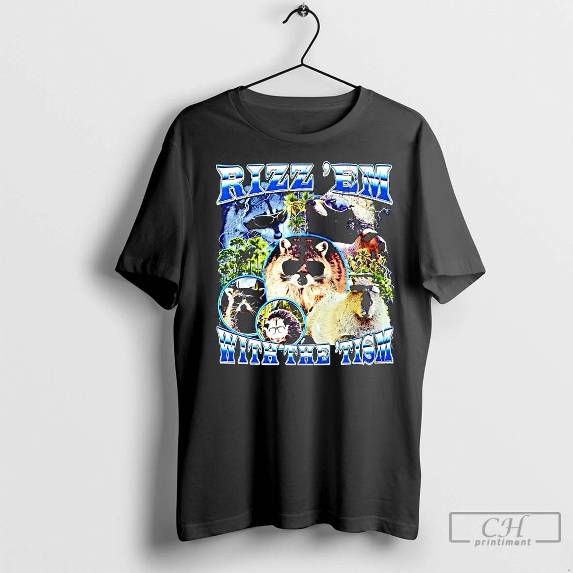 Premium Rizz Em With The Tism Raccoons Capybara Opossum Sunglasses Graphic Unisex
